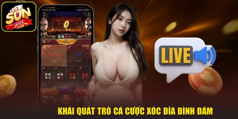 Khái quát trò cá cược Xóc đĩa đình đám