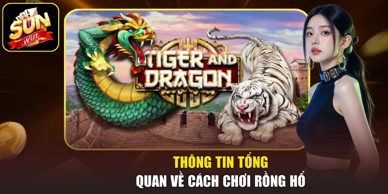 Thông tin tổng quan về cách chơi Rồng Hổ